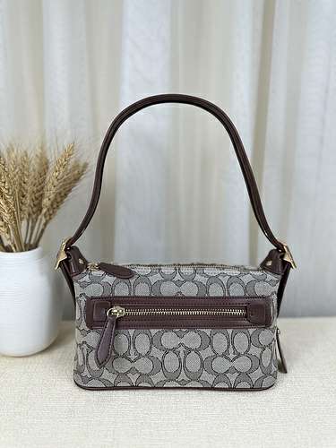 Picture of Coach Lady Handbags _SKUfw141327724fw